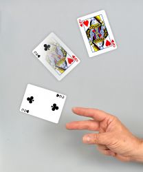 Change in Flight (Made from Bicycle cards)