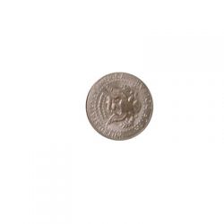  US Half Dollar Coin