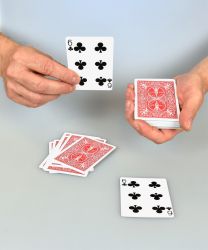 Joker Magic Profi (Bicycle krtybl)