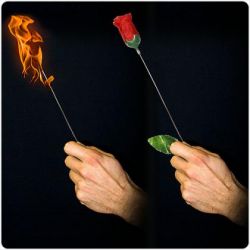  Fklybl rzsa plusz / Torch to Rose Plus