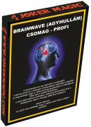Agyhullm krtyacsomag (Bicycle krtybl) / Brainwave Deck