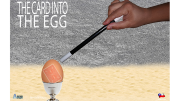 Aprendemagia Card into the Egg