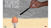  Krtya a tojsba / Card into the Egg by Alfredo Marchese