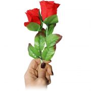  Duplzd rzsa / Multiplying Rose v2