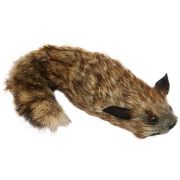 Roxie, a mosmedve bbu / Roxie the Raccoon